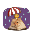 Winniie（個別スタンプ：26）