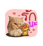 Winniie（個別スタンプ：29）