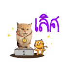 Winniie（個別スタンプ：35）