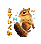 シマリスのスピカ（個別スタンプ：15）