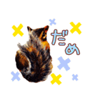 シマリスのスピカ（個別スタンプ：25）