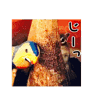 シマリスのスピカ（個別スタンプ：37）