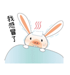 PigRabbit（個別スタンプ：19）