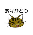 挨拶スタンプ 猫マンガ仕様（個別スタンプ：26）