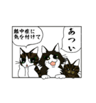 挨拶スタンプ 猫マンガ仕様（個別スタンプ：36）