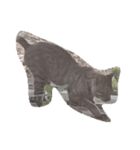 猫舌 1（個別スタンプ：6）