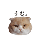 ぬけさくの日常1（個別スタンプ：5）