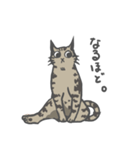 かおの小さなネコ（個別スタンプ：2）