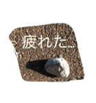 どうも石です。（個別スタンプ：1）
