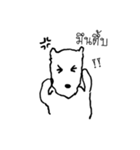 Mara the dog（個別スタンプ：40）