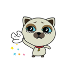 a cats living in the moon town star room（個別スタンプ：15）