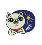 a cats living in the moon town star room（個別スタンプ：25）