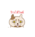 Neko Pang（個別スタンプ：3）