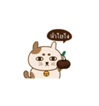 Neko Pang（個別スタンプ：13）
