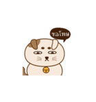Neko Pang（個別スタンプ：19）