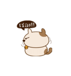 Neko Pang（個別スタンプ：20）