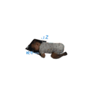KAILEX（個別スタンプ：1）