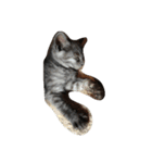 猫にゃ（個別スタンプ：4）