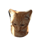 猫にゃ（個別スタンプ：5）