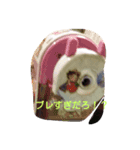 家の物（個別スタンプ：4）