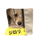 イブだよ part1（個別スタンプ：4）