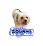 イブだよ part1（個別スタンプ：6）