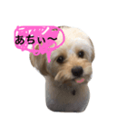 イブだよ part1（個別スタンプ：7）