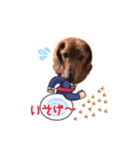 れむと一緒（個別スタンプ：11）