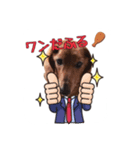 れむと一緒（個別スタンプ：12）