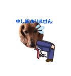れむと一緒（個別スタンプ：13）