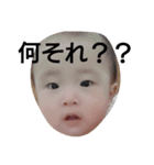レオスタ2（個別スタンプ：16）