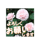 薔薇の花♡ME2_挨拶メッセージ（個別スタンプ：2）