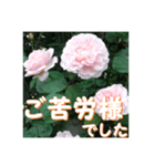 薔薇の花♡ME2_挨拶メッセージ（個別スタンプ：5）