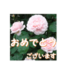 薔薇の花♡ME2_挨拶メッセージ（個別スタンプ：8）