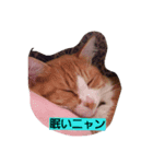 ぶっさんです（個別スタンプ：2）