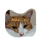 ぶっさんです（個別スタンプ：7）