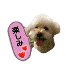 GO！ GO！ 龍ちゃんⅢ（個別スタンプ：2）