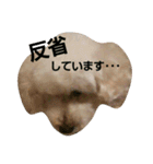 GO！ GO！ 龍ちゃんⅢ（個別スタンプ：9）