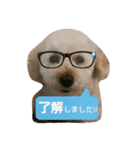 GO！ GO！ 龍ちゃんⅢ（個別スタンプ：10）