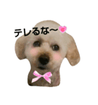 GO！ GO！ 龍ちゃんⅢ（個別スタンプ：14）