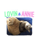 ロビンとアニーです。猫ですが何か？（個別スタンプ：1）