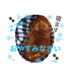 らむくん（個別スタンプ：6）