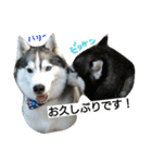 スノブリ〜愉快な仲間たち〜（個別スタンプ：2）