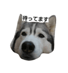 スノブリ〜愉快な仲間たち〜（個別スタンプ：4）