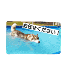 スノブリ〜愉快な仲間たち〜（個別スタンプ：6）