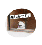 スノブリ〜愉快な仲間たち〜（個別スタンプ：7）