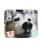スノブリ〜愉快な仲間たち〜（個別スタンプ：10）