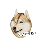 スノブリ〜愉快な仲間たち〜（個別スタンプ：14）