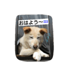スノブリ〜愉快な仲間たち〜（個別スタンプ：21）