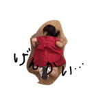 みこたろスタンプ（個別スタンプ：8）